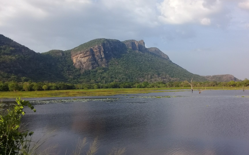 Dimbulagala - Sri Lanka