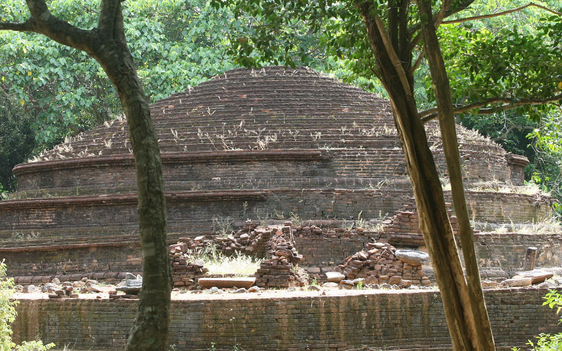 Kaludiya Pokuna Forest - Sri Lanka