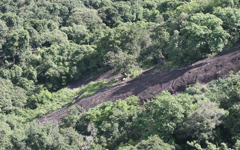 Kaludiya Pokuna Forest