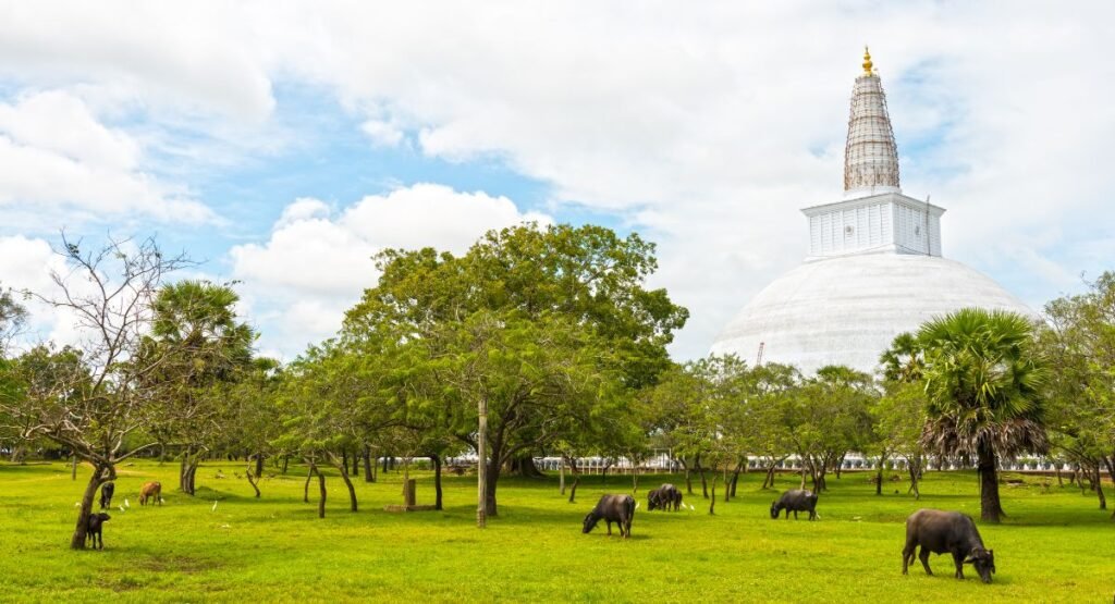 Anuradhapura