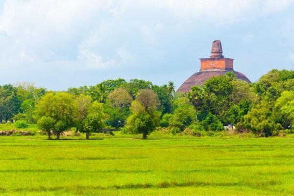 Anuradhapura Pagoda