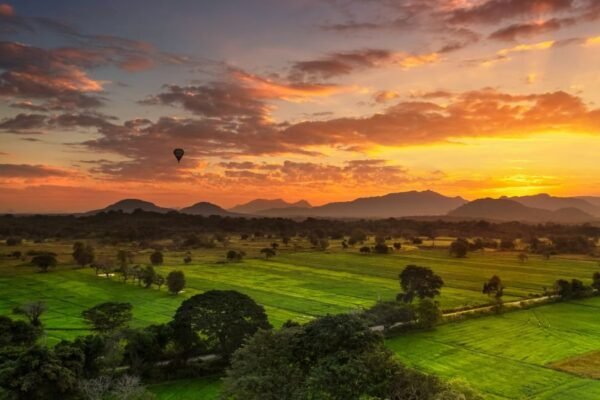 Bundala National Park