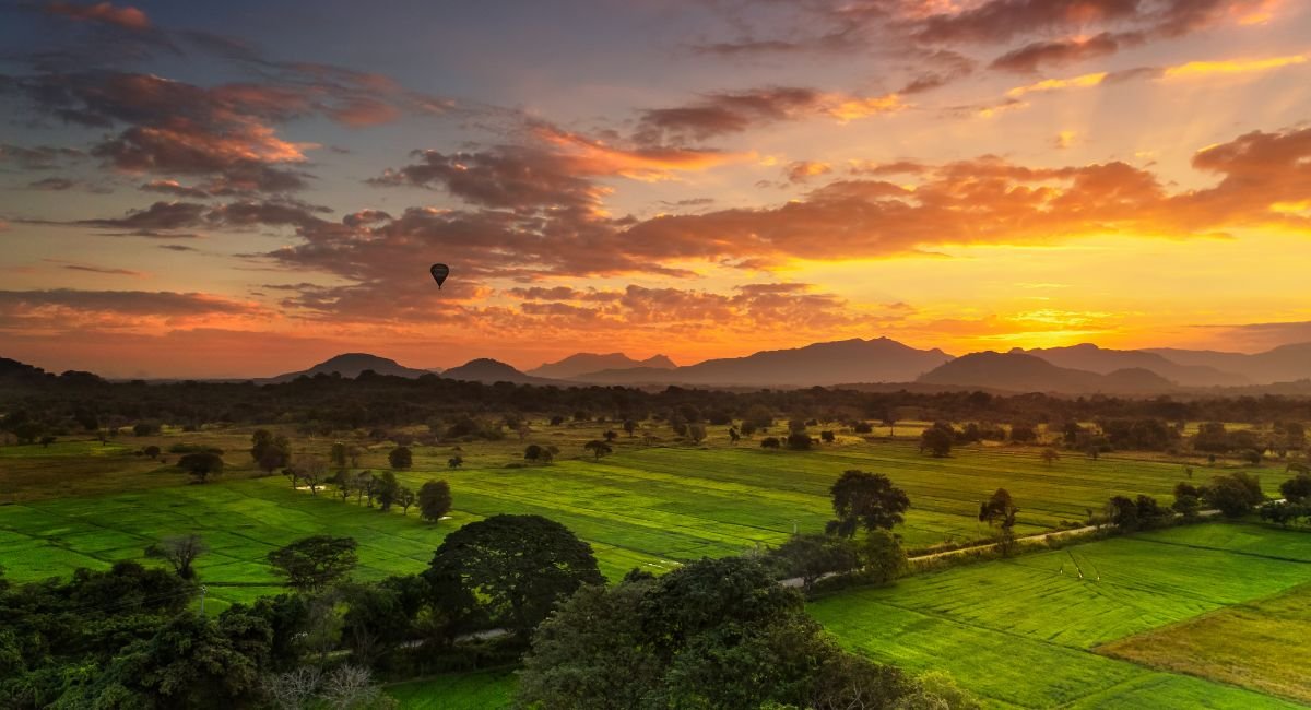 Bundala National Park: A Wetland Paradise in Sri Lanka