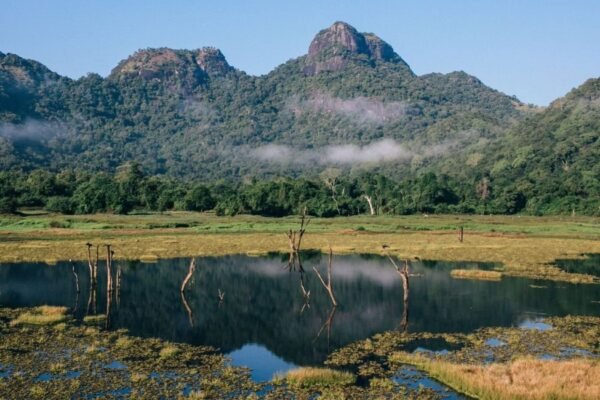 Gal Oya National Park Sri Lanka