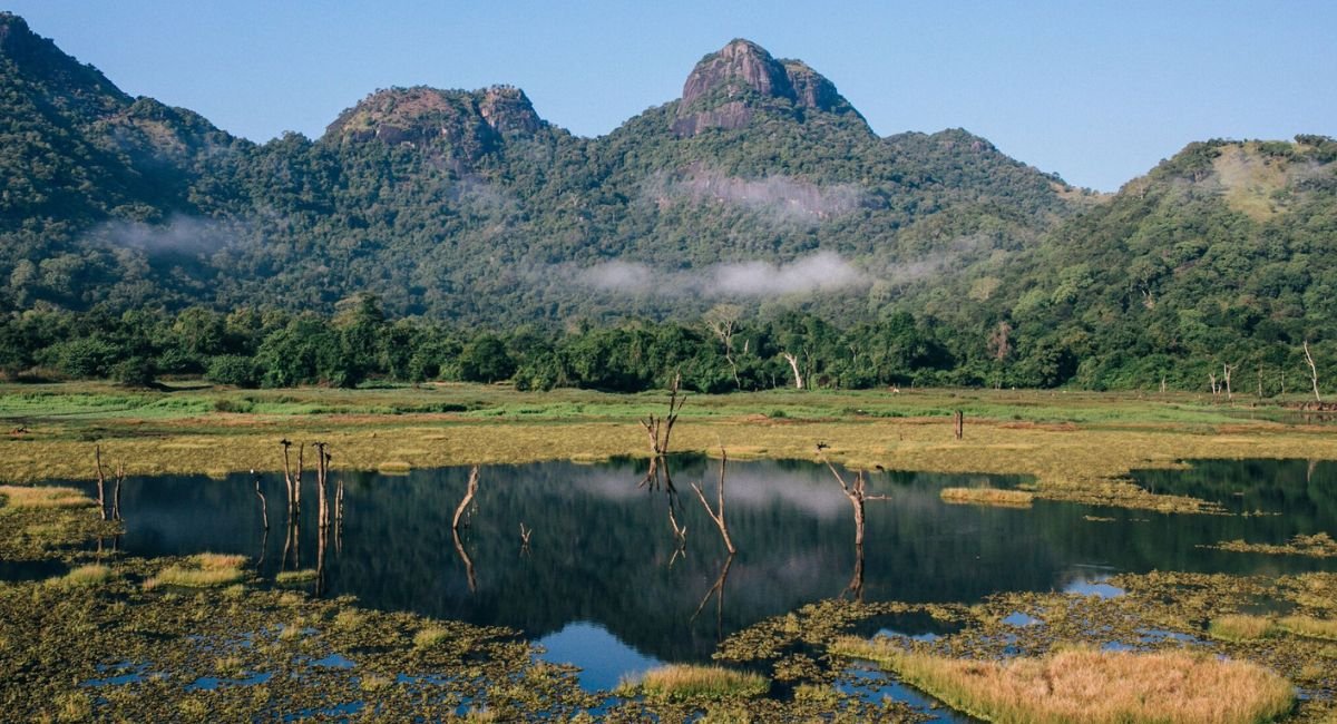 Gal Oya National Park: A Serene Wilderness in Sri Lanka