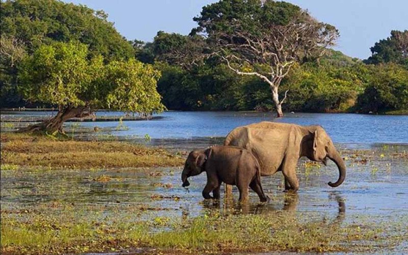 Maduru Oya National Park